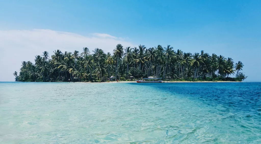 island, palm trees, tropical-1844962.jpg